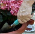 Bildausschnitt eines Blumenkbels mit einer Gartenschaufel